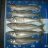 school whiting/poddies.